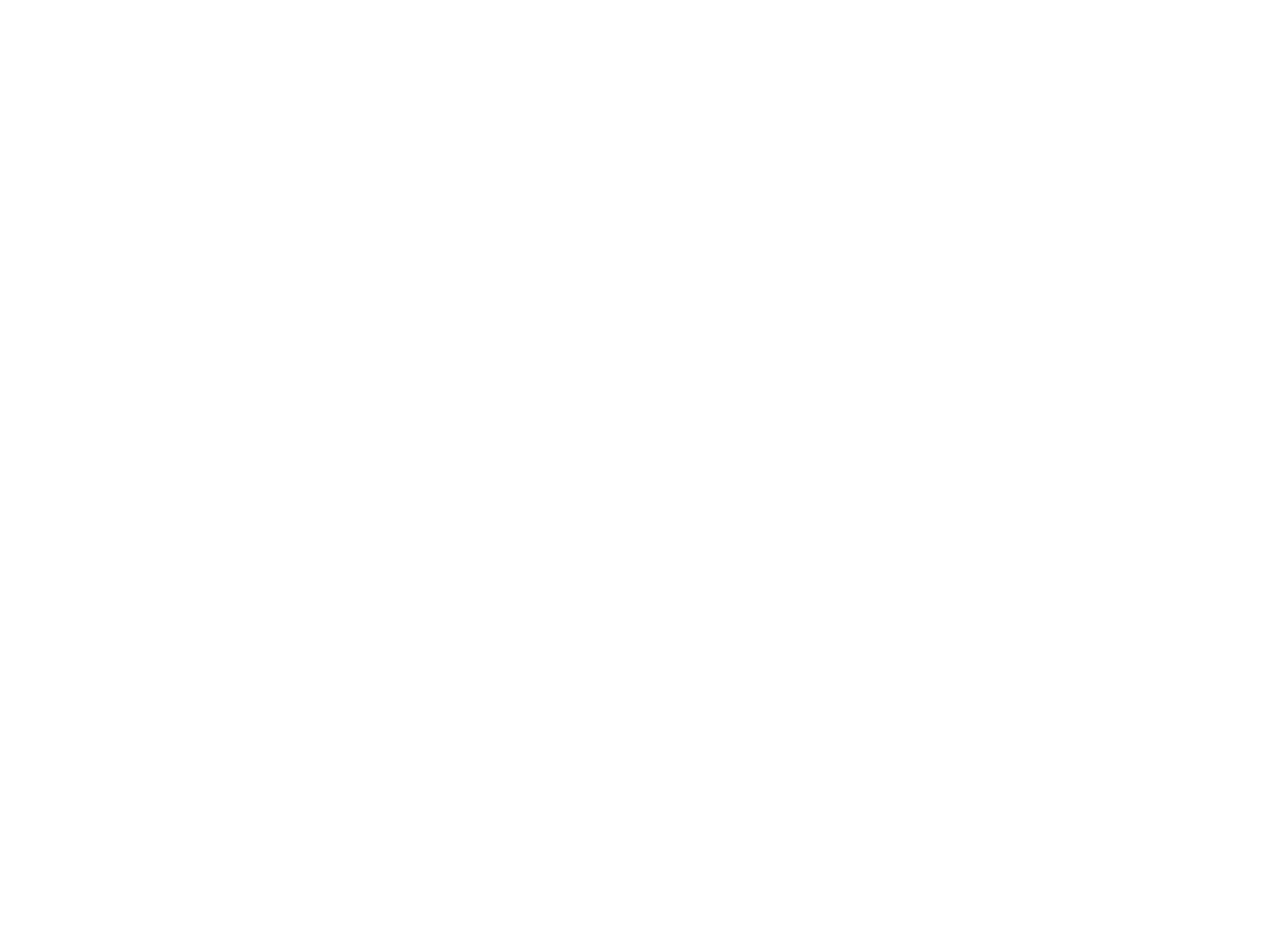 Rapidpack Courier